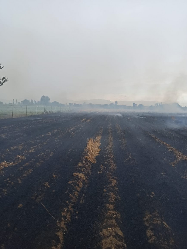 Şərur rayon Çərçiboğan kəndində biçilmiş taxıl sahəsində yanğın baş verib<font color=red> - FOTOLAR</font>