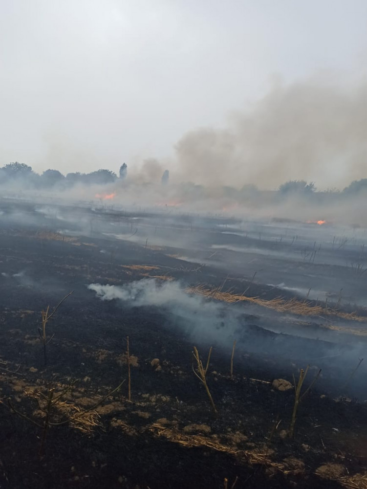 Şərur rayon Çərçiboğan kəndində biçilmiş taxıl sahəsində yanğın baş verib<font color=red> - FOTOLAR</font>