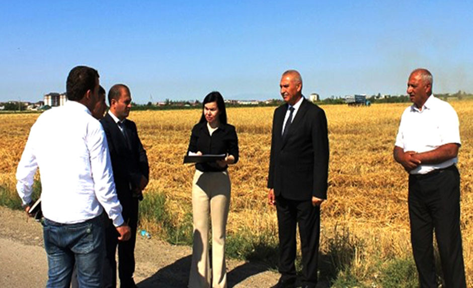 “Araz” Elm İstehsat Birliyinin əkin sahələrində taxıl biçininə başlanılıb<font color=red> - FOTOLAR</font>