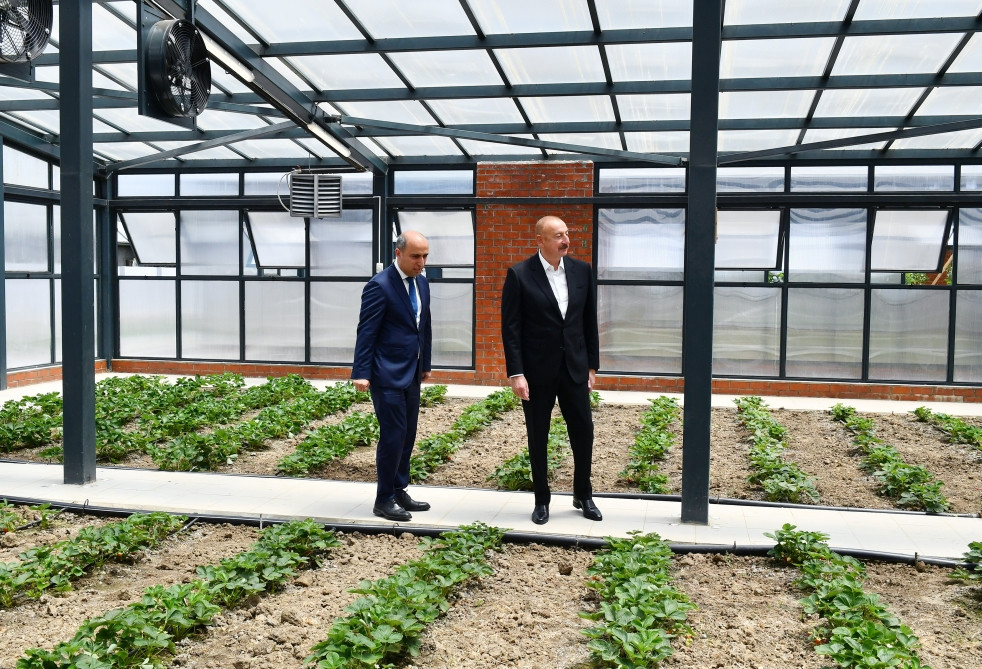 Prezident İlham Əliyev Cəlilabad Dövlət Peşə Təhsil Mərkəzinin açılışında iştirak edib<font color='red'> - YENİLƏNİB</font><font color=red> - FOTOLAR</font>