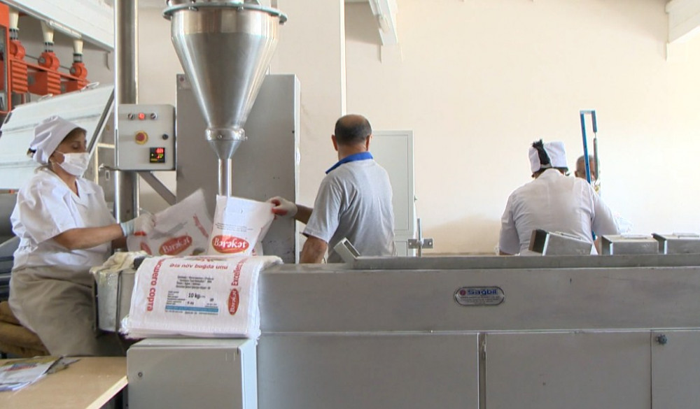 Naxçıvanda bu günədək 5335 ton buğda qəbul edilib<font color=red> - FOTOLAR</font>
