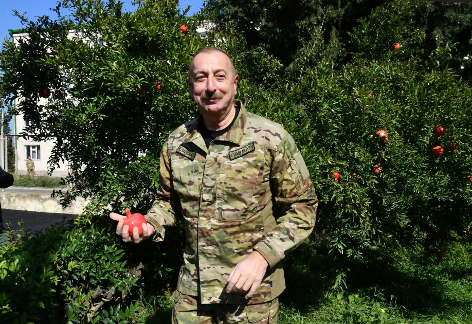 Prezident İlham Əliyev Ağdərə şəhərində Azərbaycan Respublikasının Dövlət Bayrağını ucaldıb<font color='red'> - YENİLƏNİB</font><font color=red> - FOTOLAR</font>