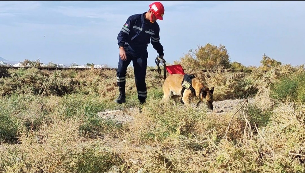 Naxçıvan Muxtar Respublikasının Fövqəladə Hallar Nazirliyinin Xüsusi Riskli Xilasetmə Xidməti taktiki-xüsusi təlim keçirib<font color=red> - FOTOLAR</font>
