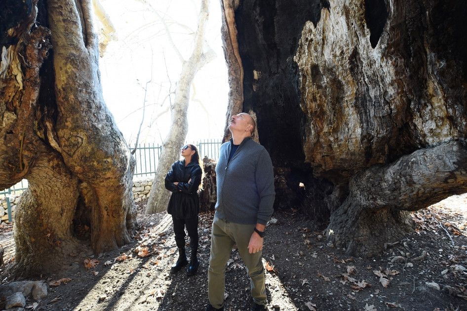Xocavənd rayonunun Şıx Dursun kəndində “Çinar müqəddəs yer” abidə kompleksinə baxış keçirilib<font color='red'> - YENİLƏNİB</font><font color=red> - FOTOLAR</font>