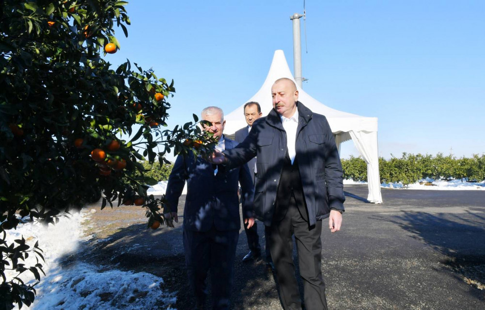 Prezident İlham Əliyev Lənkəran rayonuna səfər edib<font color='red'> - YENİLƏNİB</font><font color=red> - FOTOLAR</font>