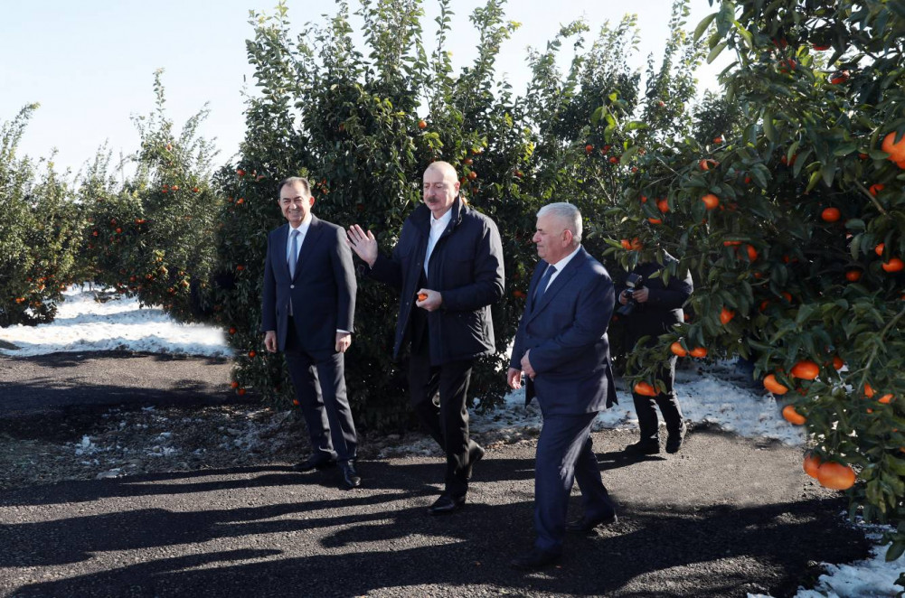 Prezident İlham Əliyev Lənkəran rayonuna səfər edib<font color='red'> - YENİLƏNİB</font><font color=red> - FOTOLAR</font>
