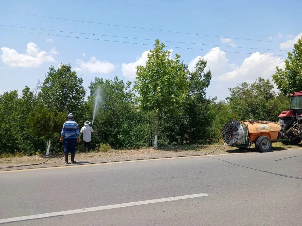 Uzunoba Dövlət Meşəsində ziyanvericilərə və xəstəliklərə qarşı ağacların dərmanlaması işləri görülüb<font color=red> - FOTOLAR</font>