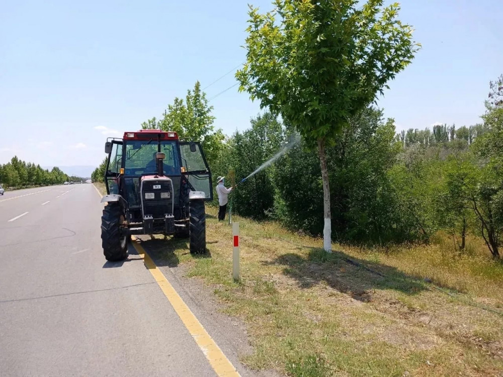 Uzunoba Dövlət Meşəsində ziyanvericilərə və xəstəliklərə qarşı ağacların dərmanlaması işləri görülüb<font color=red> - FOTOLAR</font>