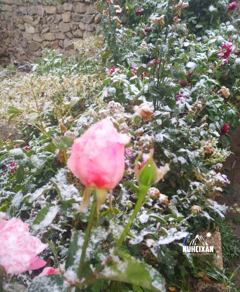 Naxçıvan Muxtar Respublikasının dağ kəndlərinə ilk qar yağıb<font color=red> - FOTOLAR</font>