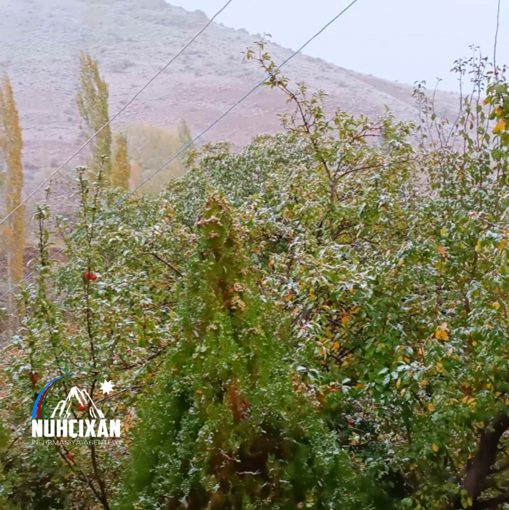 Naxçıvan Muxtar Respublikasının dağ kəndlərinə ilk qar yağıb<font color=red> - FOTOLAR</font>