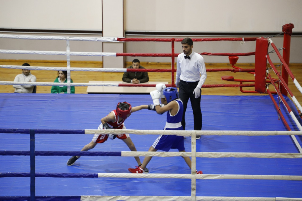 Naxçıvanda 100 illik yubileyə həsr olunmuş boks birinciliyi keçirilir<font color=red> - FOTOLAR</font>