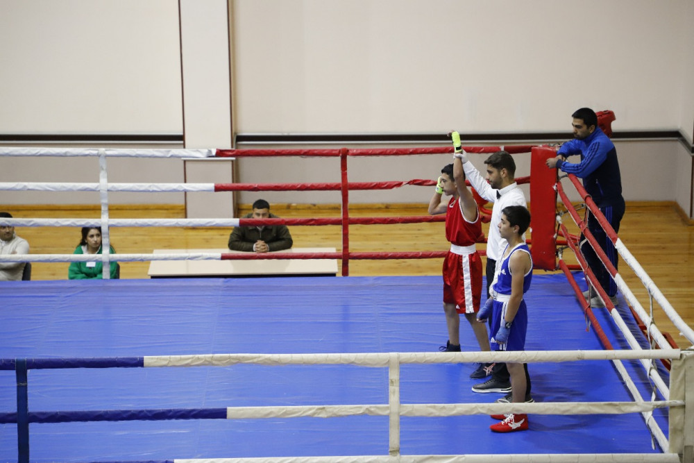 Naxçıvanda 100 illik yubileyə həsr olunmuş boks birinciliyi keçirilir<font color=red> - FOTOLAR</font>