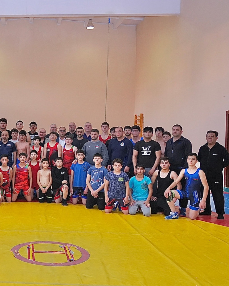 Tanınmış güləş mütəxəssisləri Naxçıvanda seminar keçib<font color=red> - FOTOLAR</font>