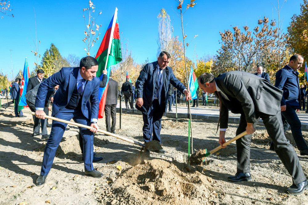 Şəhidlərin xatirəsinə ağacəkmə aksiyası keçirilib<font color=red> - FOTOLAR</font>