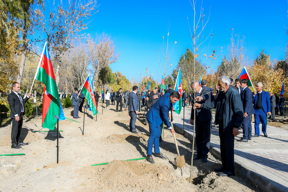 Şəhidlərin xatirəsinə ağacəkmə aksiyası keçirilib<font color=red> - FOTOLAR</font>