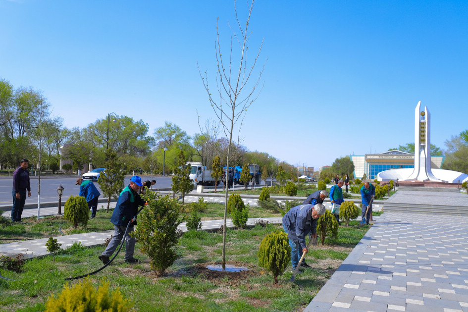Naxçıvan şəhərində Xan çinarı və akasiya ağacları əkilir<font color=red> - FOTOLAR</font>