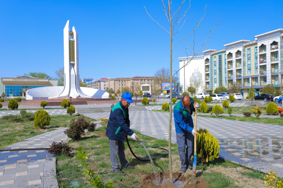 Naxçıvan şəhərində Xan çinarı və akasiya ağacları əkilir<font color=red> - FOTOLAR</font>