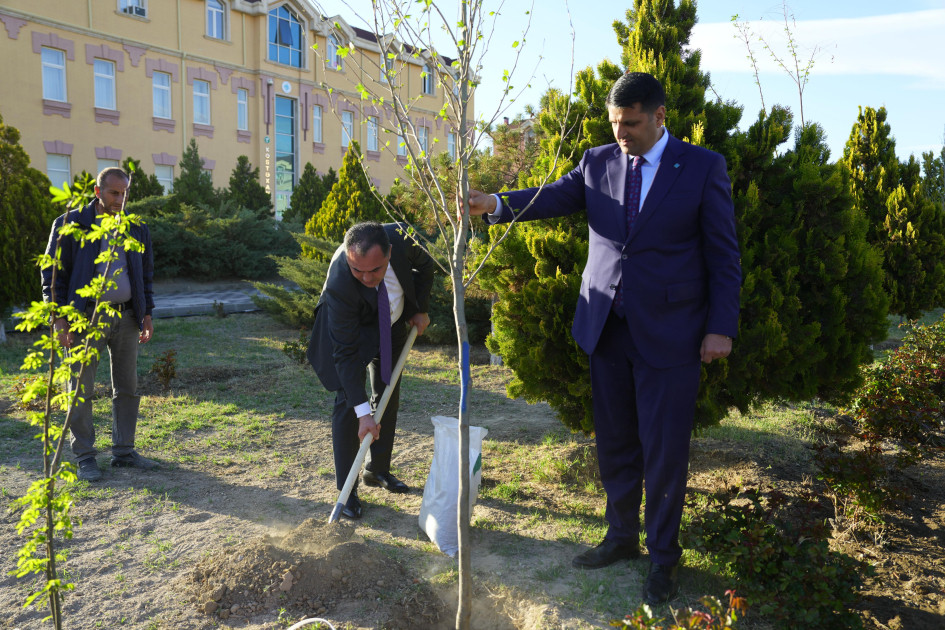 Naxçıvan Dövlət Universitetinin ərazisində ağacəkmə aksiyası keçirilib<font color=red> - FOTOLAR</font>