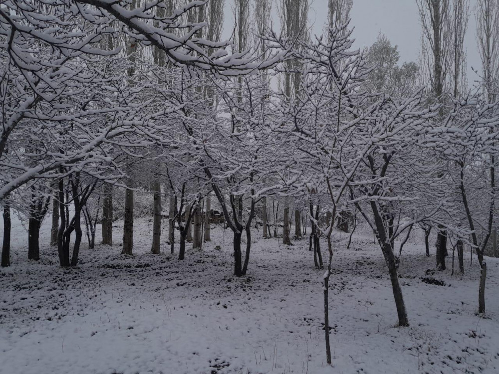 Batabatda qarın hündürlüyü 7 santimetr olub<font color=red> - FOTOLAR</font>