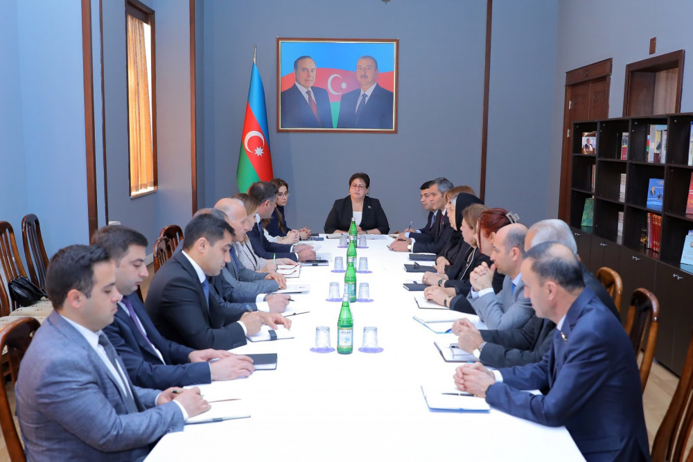 Hökumətin hesabatının Ali Məclisin komitə iclaslarında müzakirəsi başa çatıb<font color=red> - FOTOLAR</font>