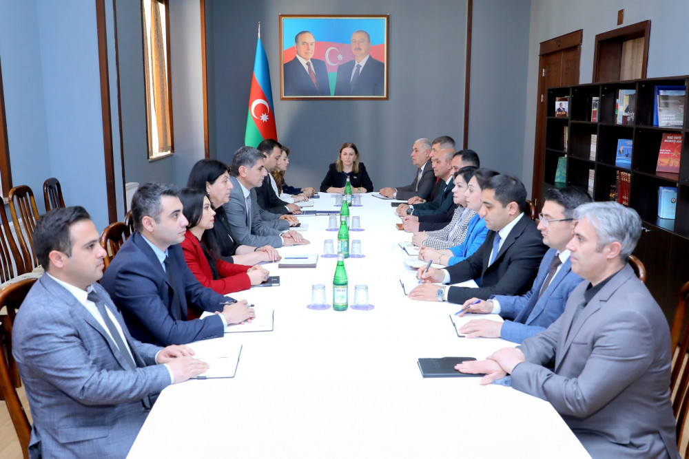 Hökumətin hesabatının Ali Məclisin komitə iclaslarında müzakirəsi başa çatıb<font color=red> - FOTOLAR</font>