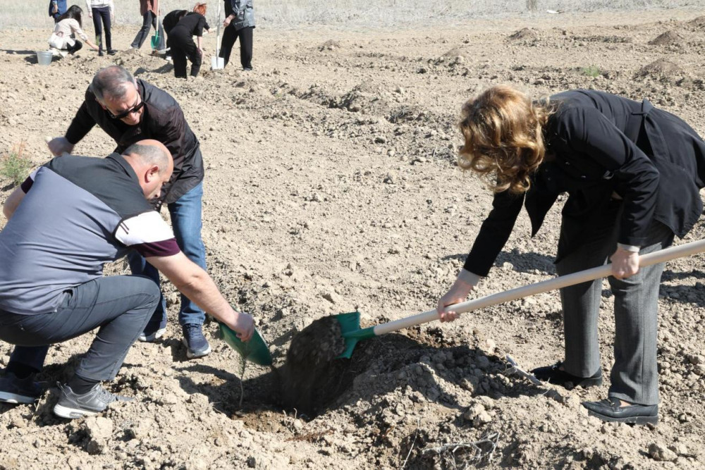 Naxçıvan Muxtar Respublikası Ali Məhkəməsi ağacəkmə aksiyası keçirib <font color=red> - FOTOLAR</font>