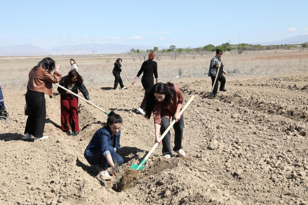 Naxçıvan Muxtar Respublikası Ali Məhkəməsi ağacəkmə aksiyası keçirib <font color=red> - FOTOLAR</font>