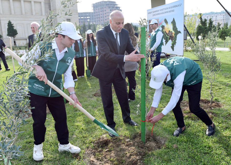 Leyla Əliyeva və Arzu Əliyeva Sumqayıtda ağacəkmə aksiyasında iştirak ediblər<font color=red> - FOTOLAR</font>