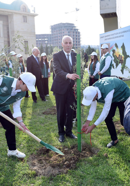 Leyla Əliyeva və Arzu Əliyeva Sumqayıtda ağacəkmə aksiyasında iştirak ediblər<font color=red> - FOTOLAR</font>