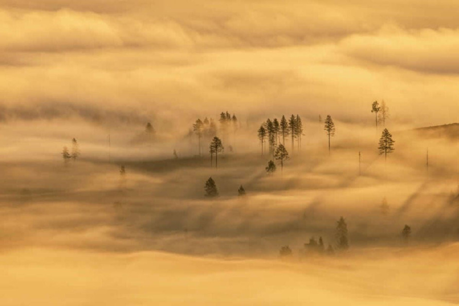 “2025-ci ilin ən yaxşı təbiət fotoqrafı” müsabiqəsinin nəticələri açıqlanıb <font color=red> - FOTOLAR</font>