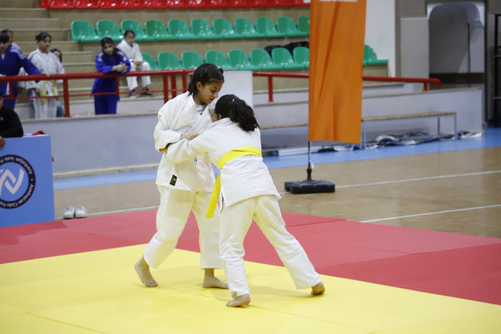 Naxçıvanda ümummilli lider Heydər Əliyevin xatirəsinə həsr olunmuş cüdo turniri keçirilib<font color=red> - FOTOLAR</font>