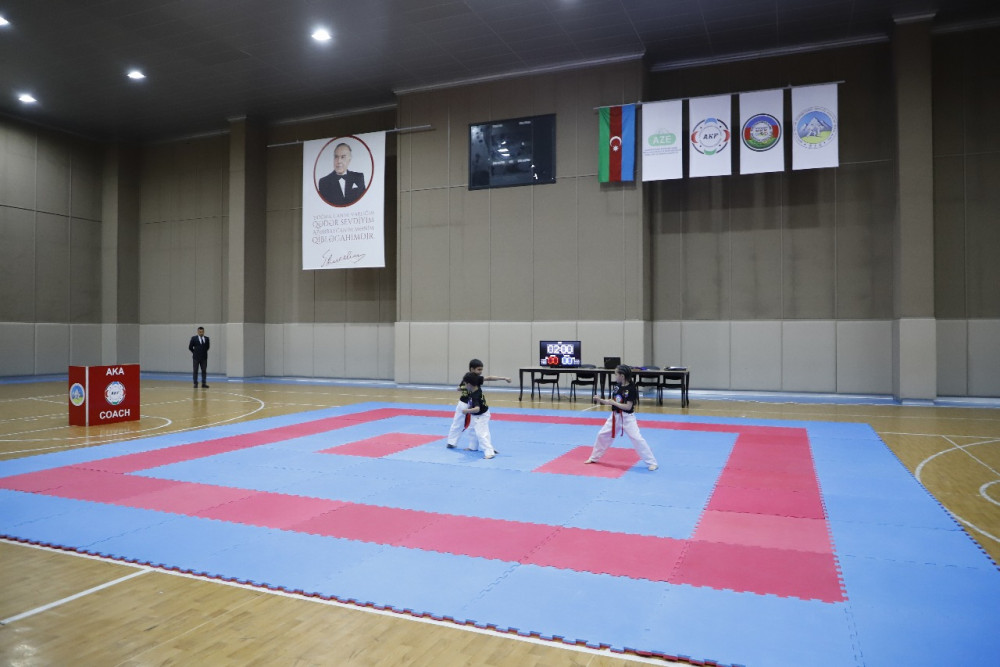 Naxçıvanda ümummilli lider Heydər Əliyevin xatirəsinə həsr olunmuş karate turniri keçirilib<font color=red> - FOTOLAR</font>