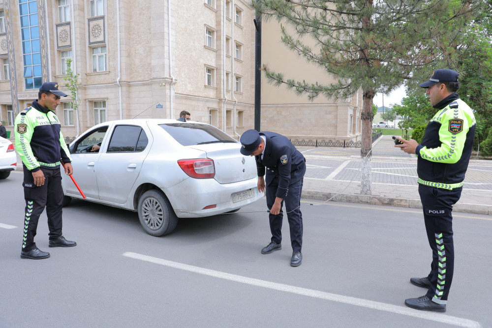 Naxçıvanda "Təmiz hava" aylığı çərçivəsində növbəti ekoloji reyd keçirilib<font color=red> - FOTOLAR</font>