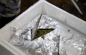 Azərbaycan gömrükçüləri “Brokoli və kahı” yükündən narkotik vasitə aşkar edib<font color=red> - FOTOLAR</font>