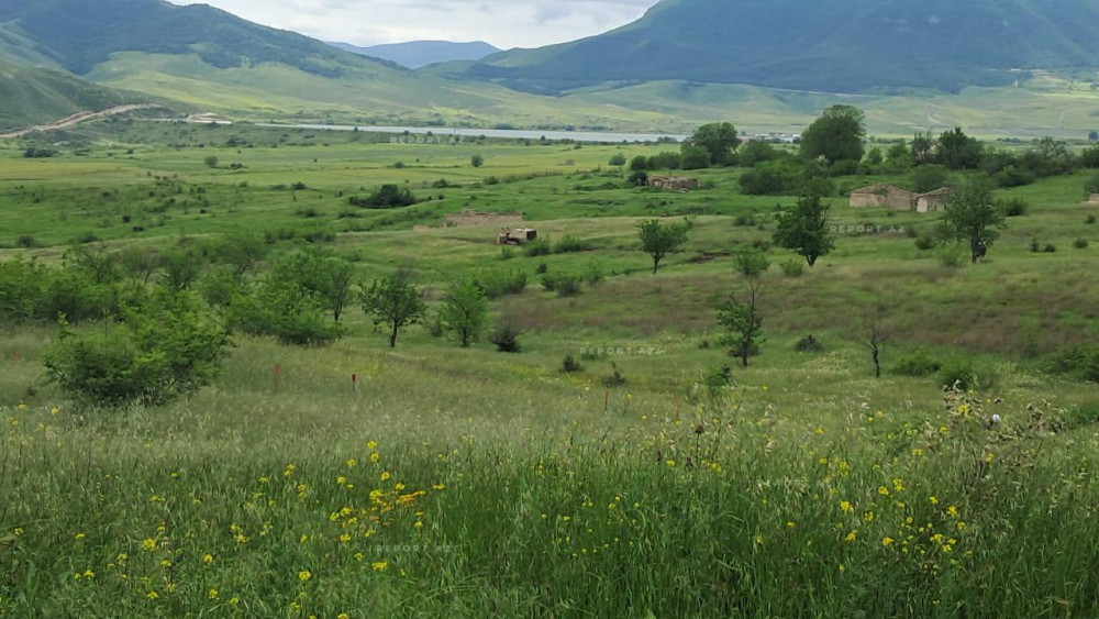 FHN nümayəndəsi: Ağdamda 37 min 154 hektar ərazi minalardan təmizlənib<font color=red> - FOTOLAR</font>