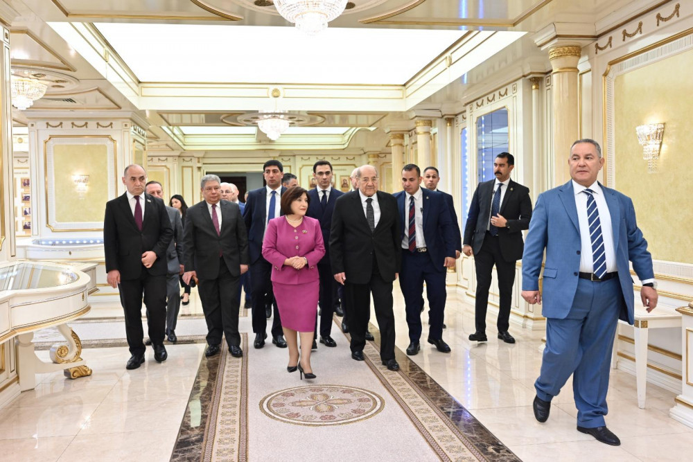 Sahibə Qafarova Misir Senatının sədri ilə görüşüb<font color=red> - FOTOLAR</font>