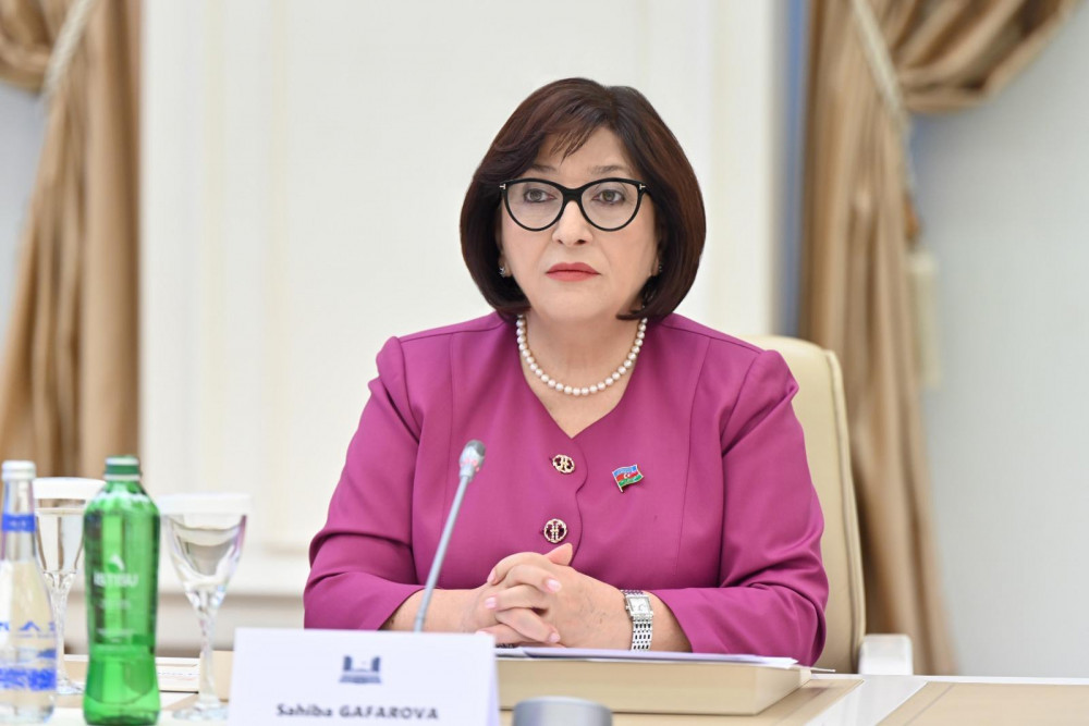 Sahibə Qafarova Misir Senatının sədri ilə görüşüb<font color=red> - FOTOLAR</font>