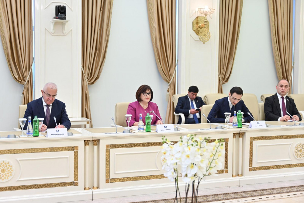 Sahibə Qafarova Misir Senatının sədri ilə görüşüb<font color=red> - FOTOLAR</font>