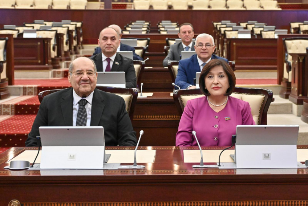 Sahibə Qafarova Misir Senatının sədri ilə görüşüb<font color=red> - FOTOLAR</font>