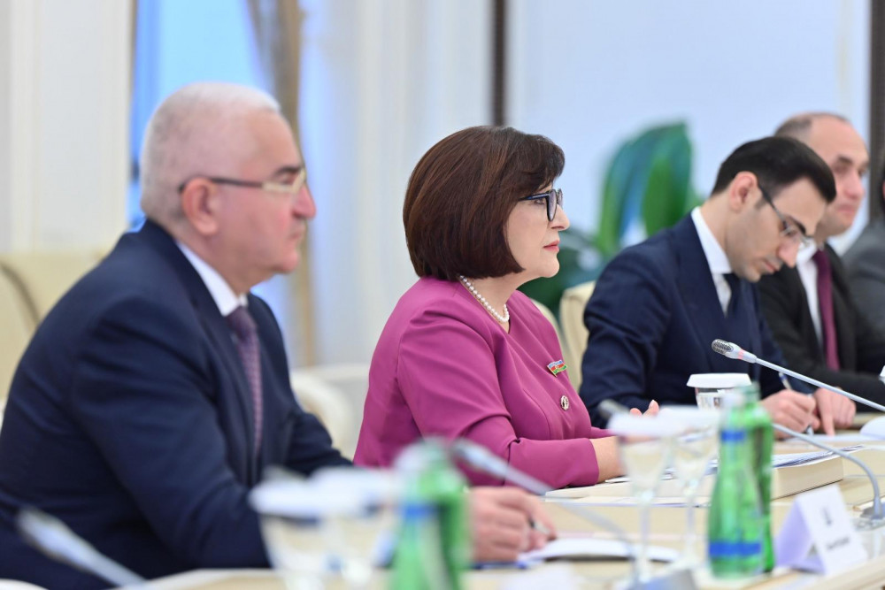 Sahibə Qafarova Misir Senatının sədri ilə görüşüb<font color=red> - FOTOLAR</font>