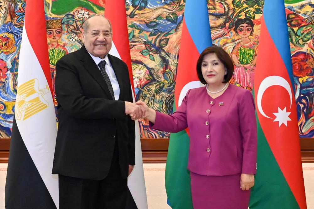 Sahibə Qafarova Misir Senatının sədri ilə görüşüb<font color=red> - FOTOLAR</font>