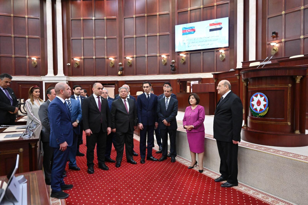 Sahibə Qafarova Misir Senatının sədri ilə görüşüb<font color=red> - FOTOLAR</font>