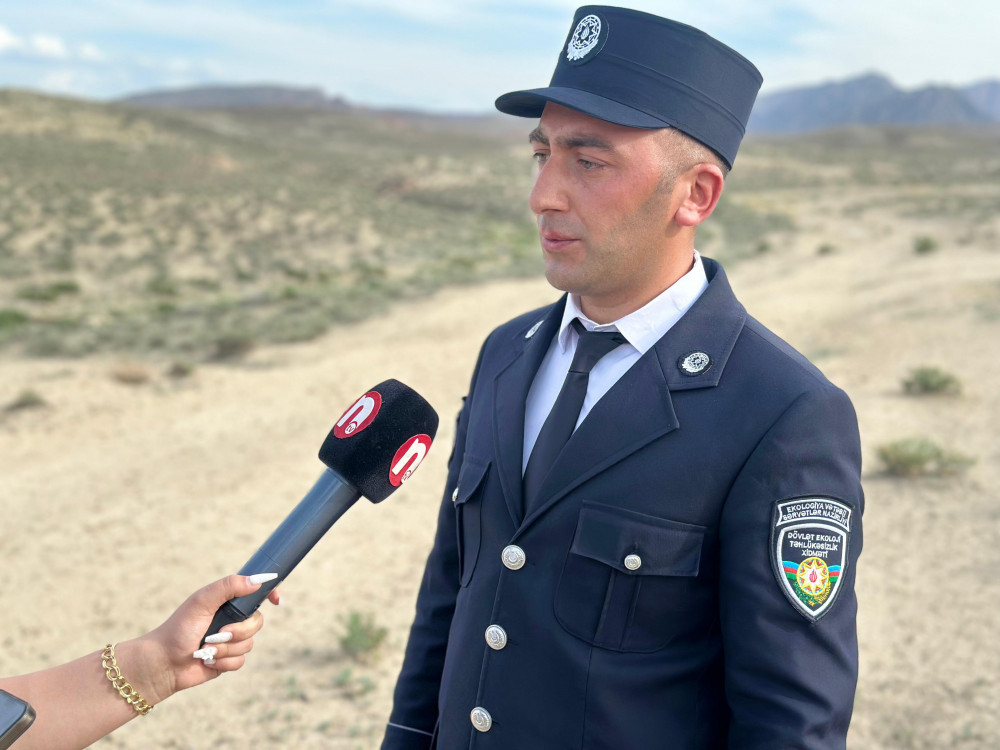 Babək və Culfa rayonlarında gəc sexlərində monitorinq keçirilib<font color=red> - FOTOLAR</font>
