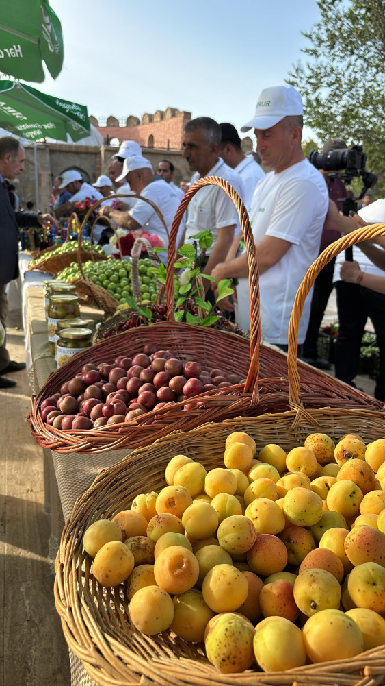 Naxçıvanda “Göycə” festivalı keçirilir<font color=red> - FOTOLAR</font>