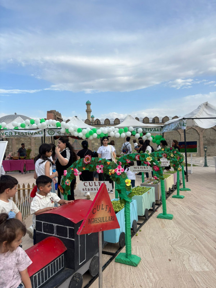 Naxçıvanda “Göycə” festivalı keçirilir<font color=red> - FOTOLAR</font>