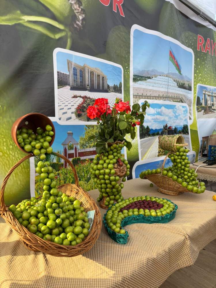 Göycə festivalı Naxçıvanda<font color=red> - FOTOLAR</font>
