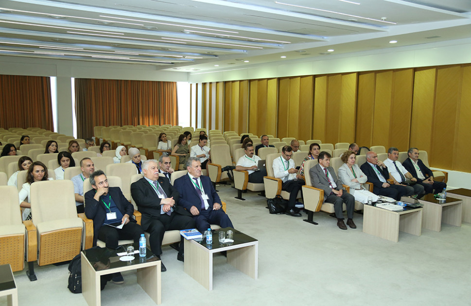 AMEA-da keçirilən beynəlxalq simpozium öz işini bölmə iclasları ilə davam etdirib<font color=red> - FOTOLAR</font>