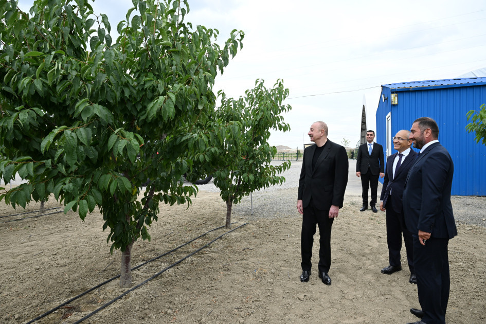 Prezident İlham Əliyev Yevlax pilot aqroparkının açılışında iştirak edib<font color='red'> - YENİLƏNİB</font><font color=red> - FOTOLAR</font>