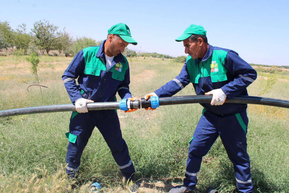 "Əshabi-Kəhf" ziyarətgahına gedən yolun kənarında damcılı suvarma sistemi quraşdırılıb<font color=red> - FOTOLAR</font>