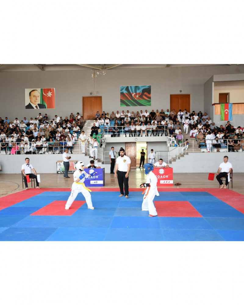 Naxçıvandan 4 karateçi Qarabağ turnirində qalib olub<font color=red> - FOTOLAR</font>